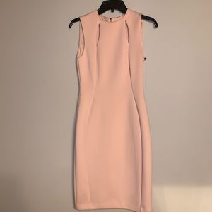 Calvin Klein Sleeveless Sheath Dress